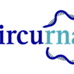 Circurna